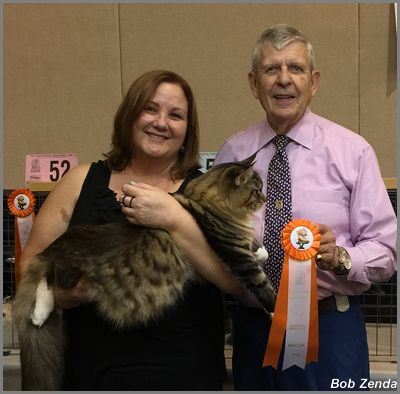 Nascat Hemi Charged of  Calicats